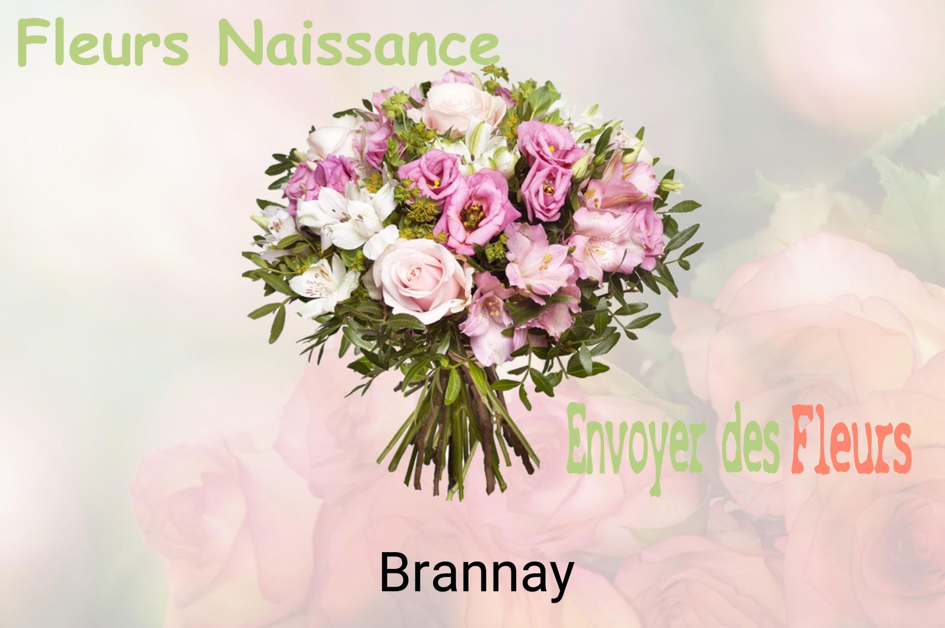 Bouquet de fleurs de naissance livré à Brannay
